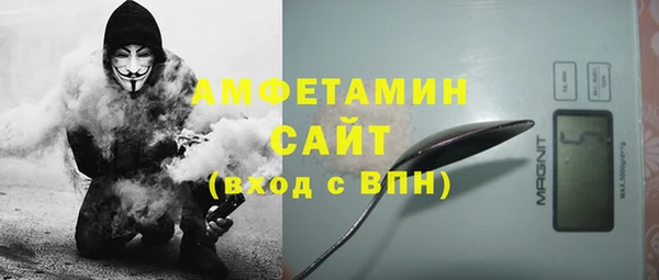 крисы Баксан