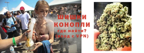 крисы Баксан